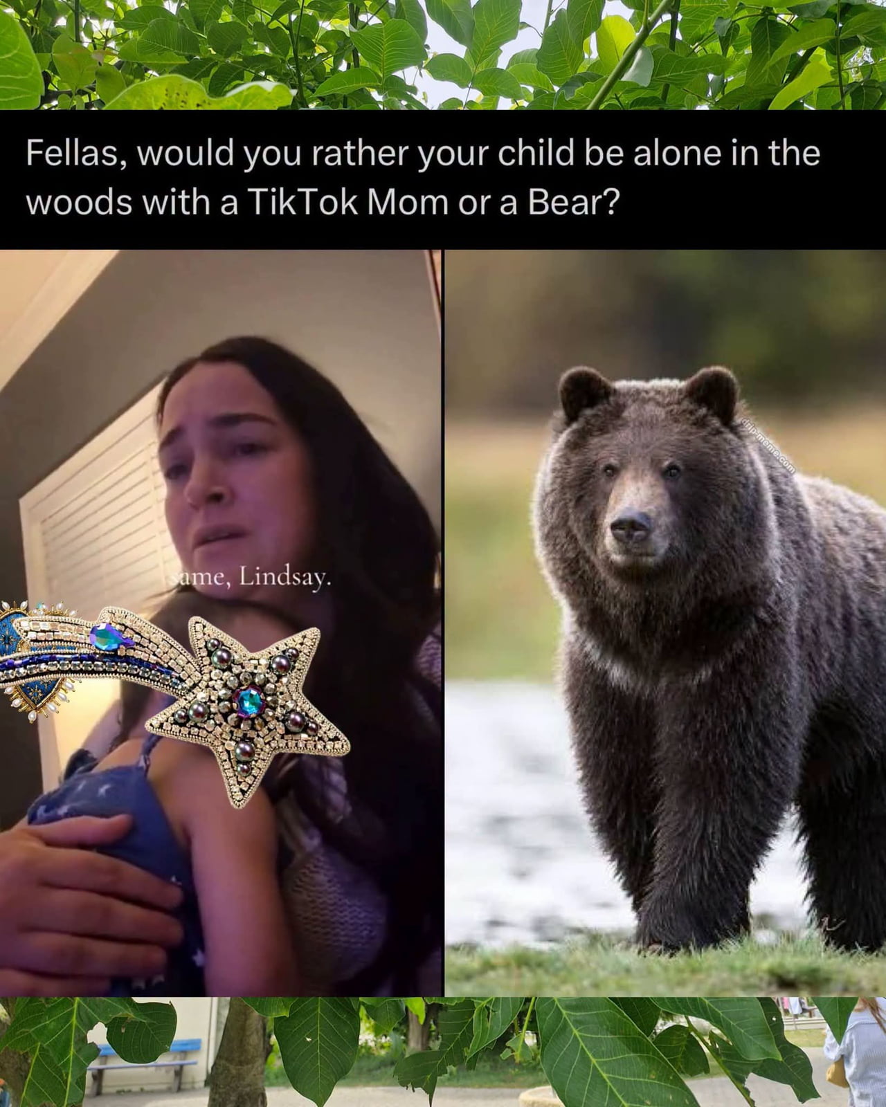 The Viral 'Man vs. Bear' Debate Gets a New Twist