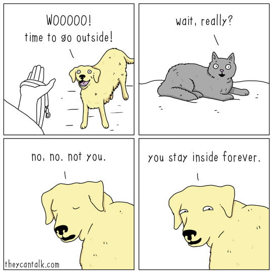 A Dog's Perspective on Who Gets to Go Outside