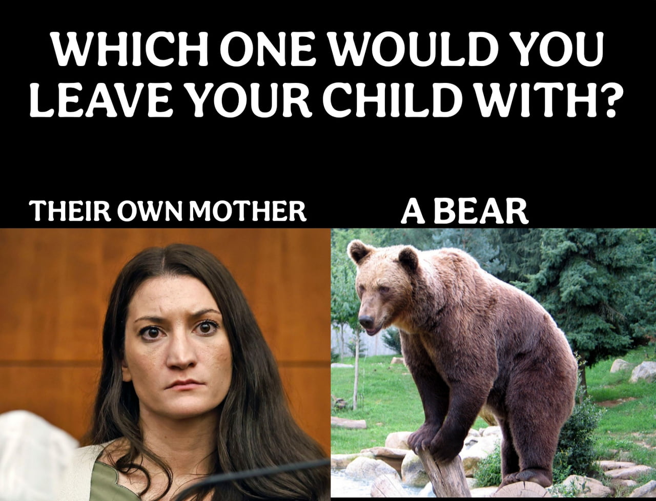 A Provocative Comparison: Choosing Between a Mother and a Bear
