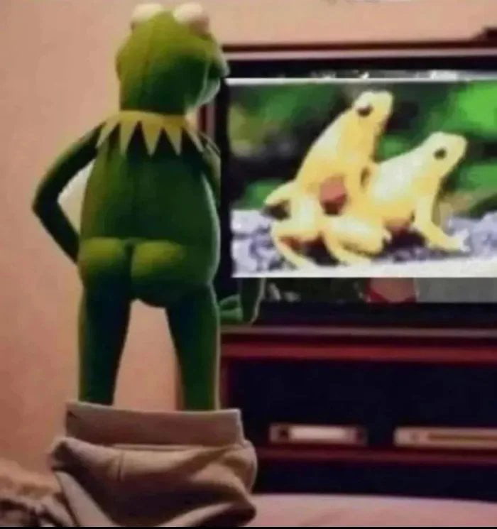 Kermit the Frog Watches Nature Documentary