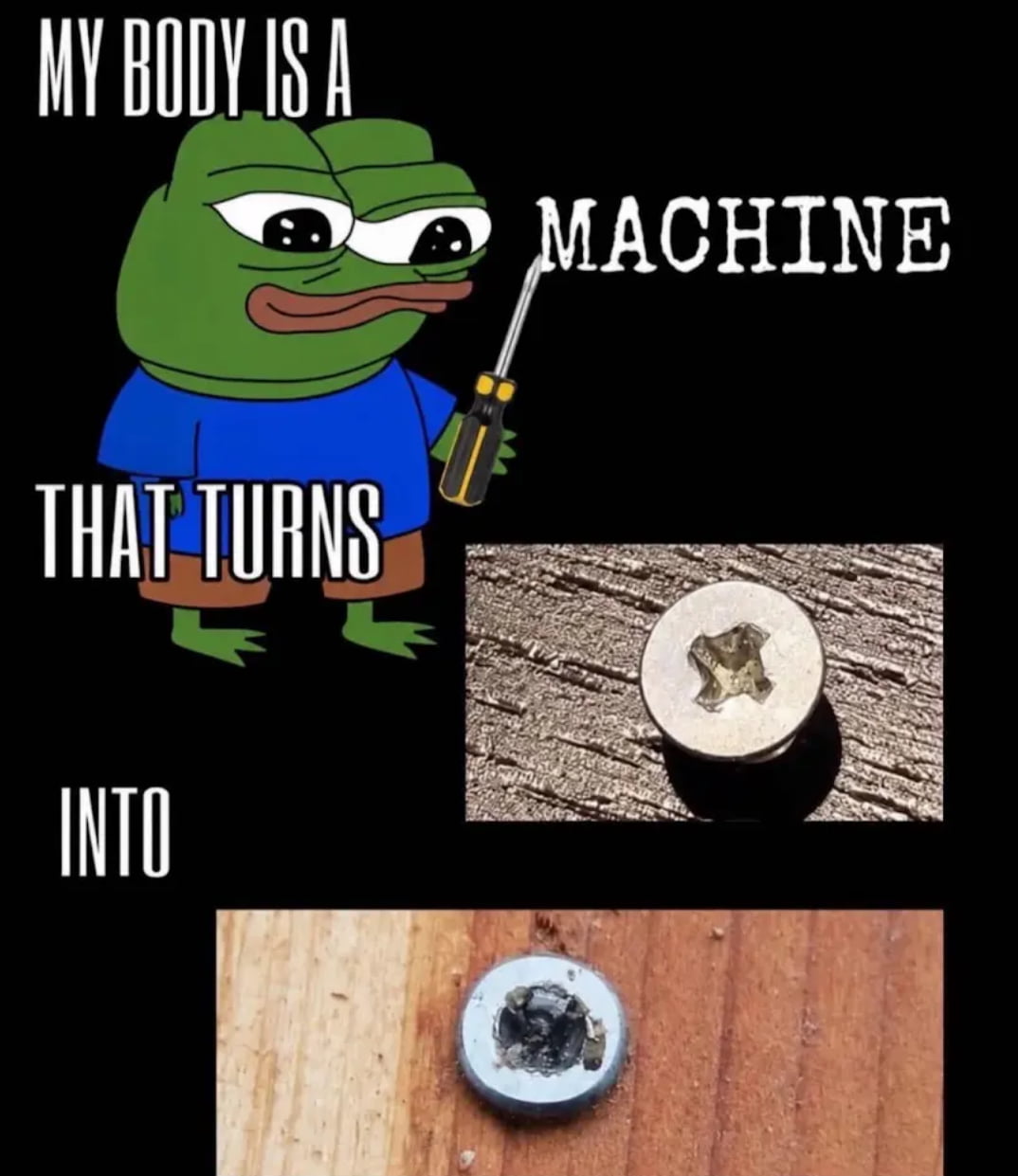 The Frustrating Reality of Stripped Screw Heads