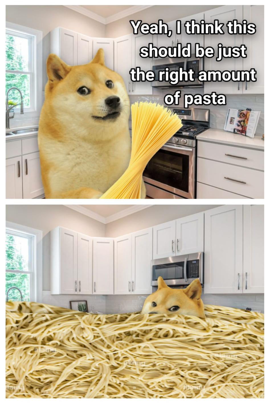 The Classic Struggle of Measuring Spaghetti Portions - Memes on Aviaclip