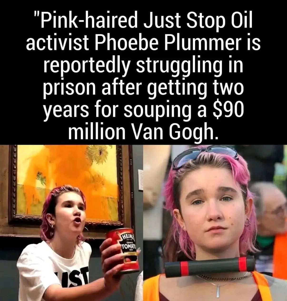 Just Stop Oil Activist Phoebe Plummer Sentenced Following Van Gogh Protest