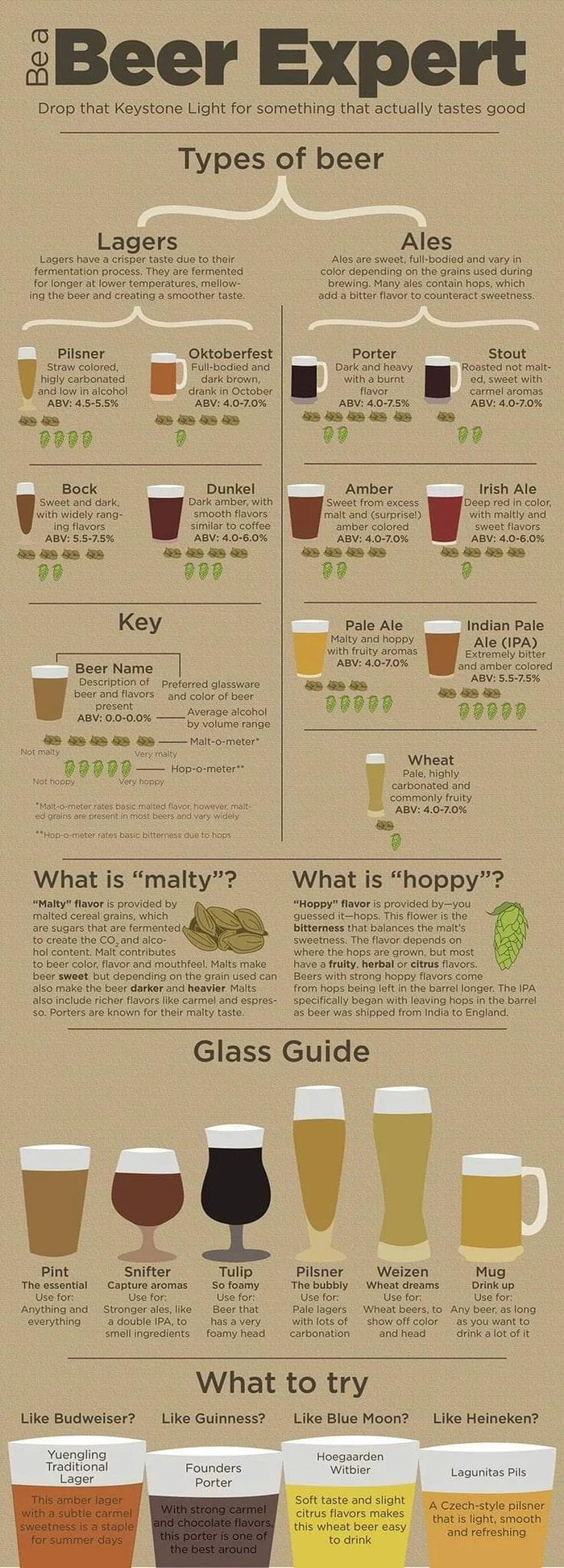 A Comprehensive Infographic Guide to Beer Styles and Glassware