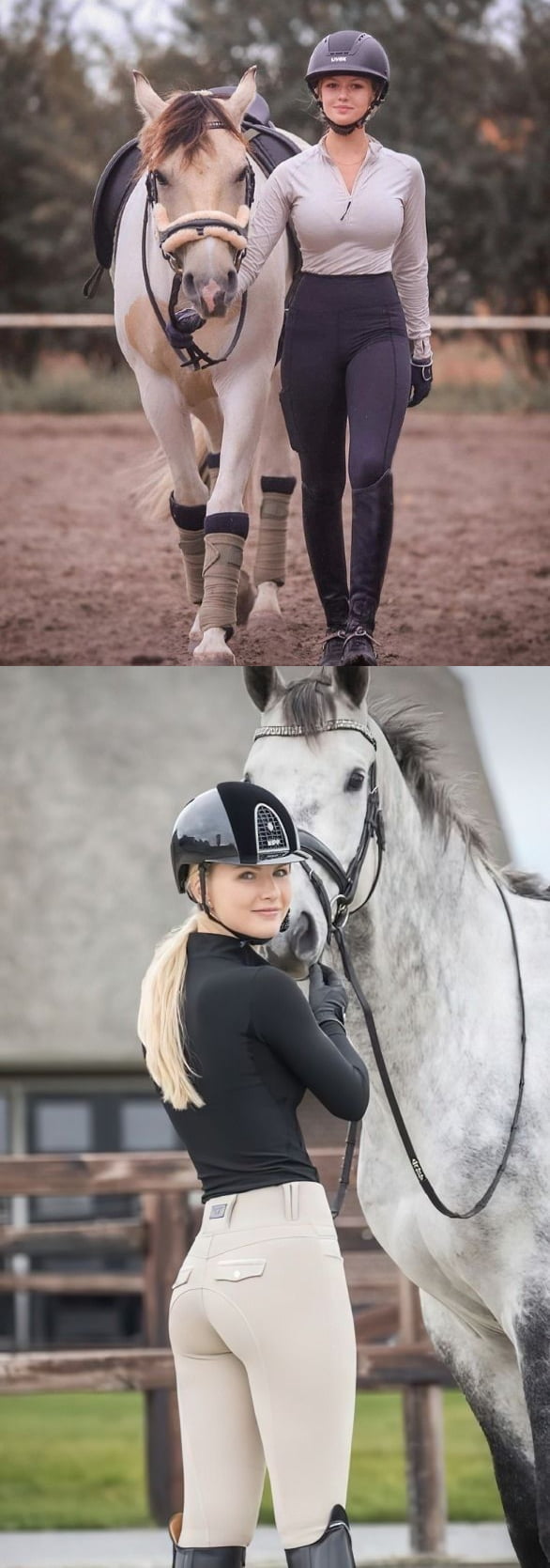 Equestrian Enthusiasts and Their Horses