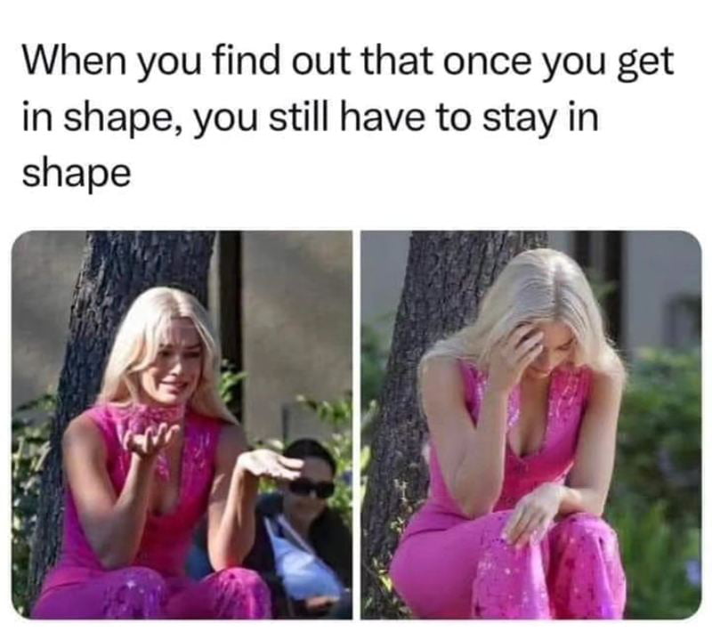 The Brutal Reality of Fitness Maintenance - Memes on Aviaclip