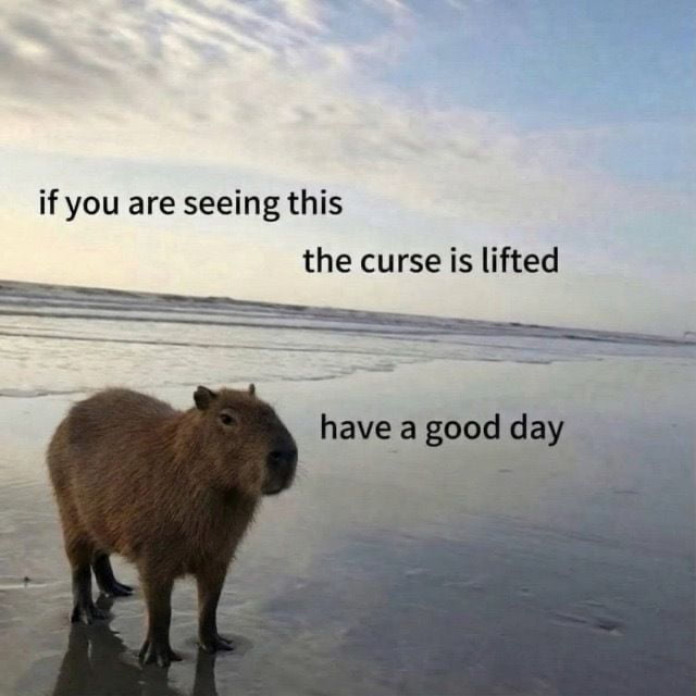 A Capybara's Message of Good Fortune - Memes on Aviaclip