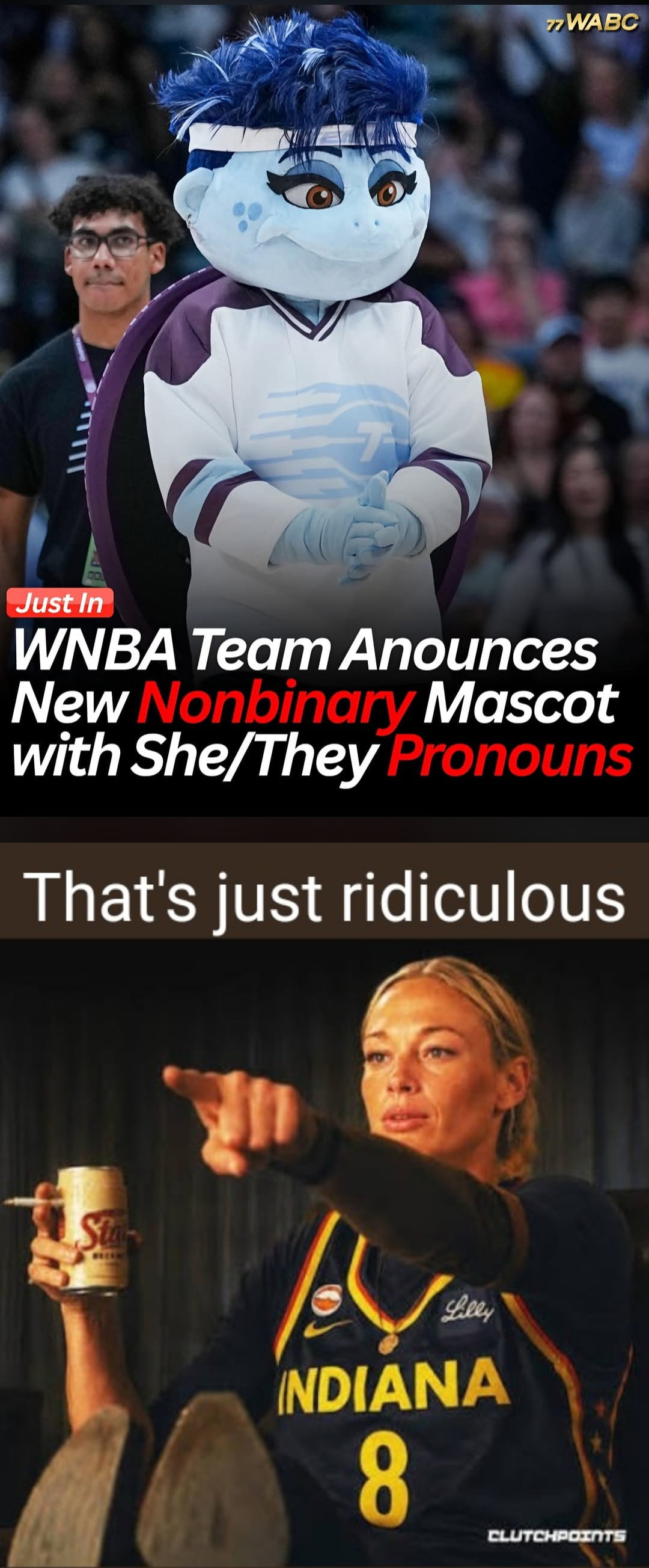 WNBA Mascot Announcement Sparks Online Commentary