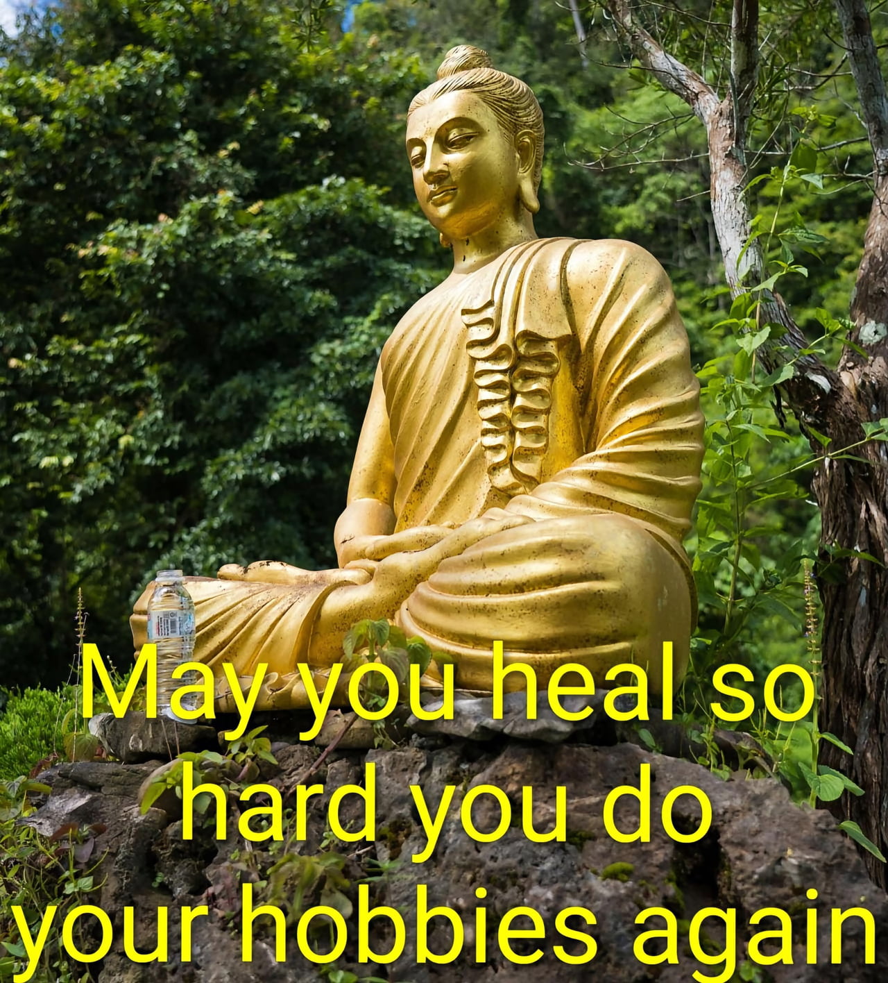 A Gentle Reminder to Prioritize Your Healing and Well-being - Wholesome on Aviaclip