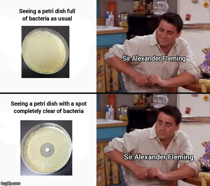 The Accidental Discovery of Penicillin Explained Through a Meme - Memes on Aviaclip
