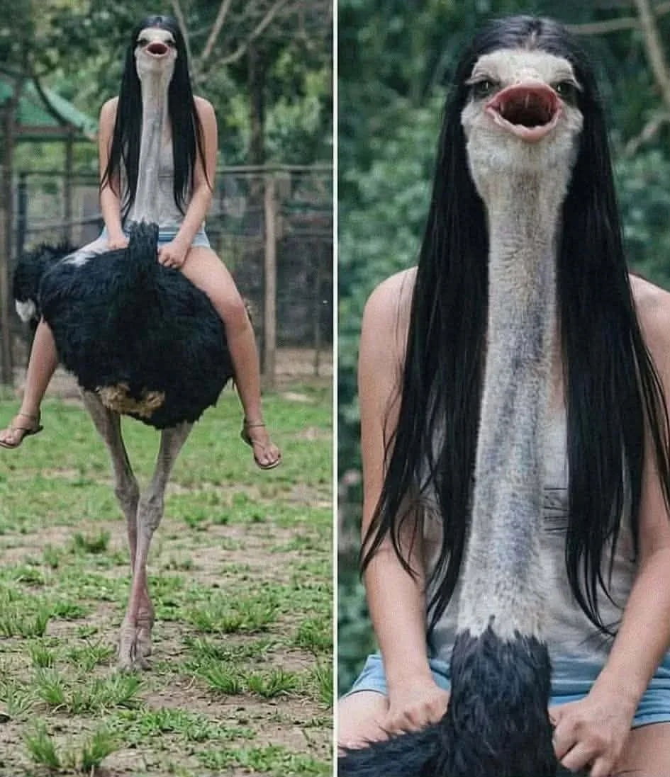 A Surreal Optical Illusion Featuring an Ostrich Rider