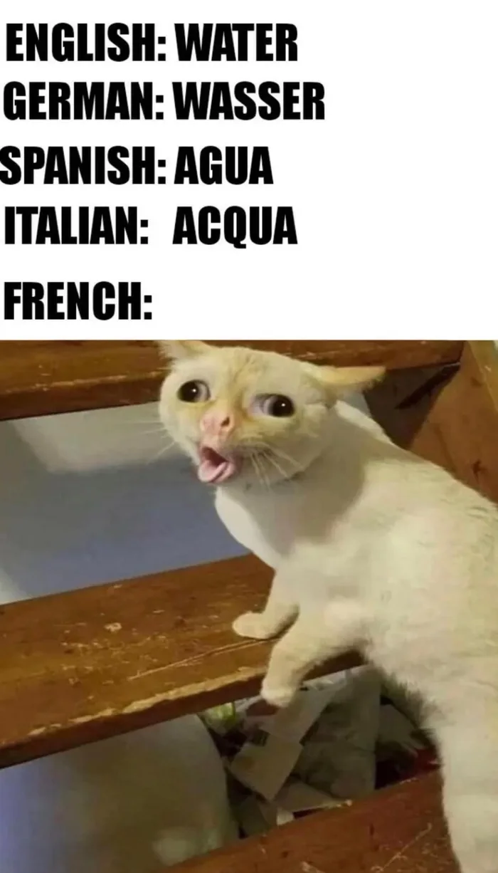 A Humorous Take on How Different Languages Say 'Water'