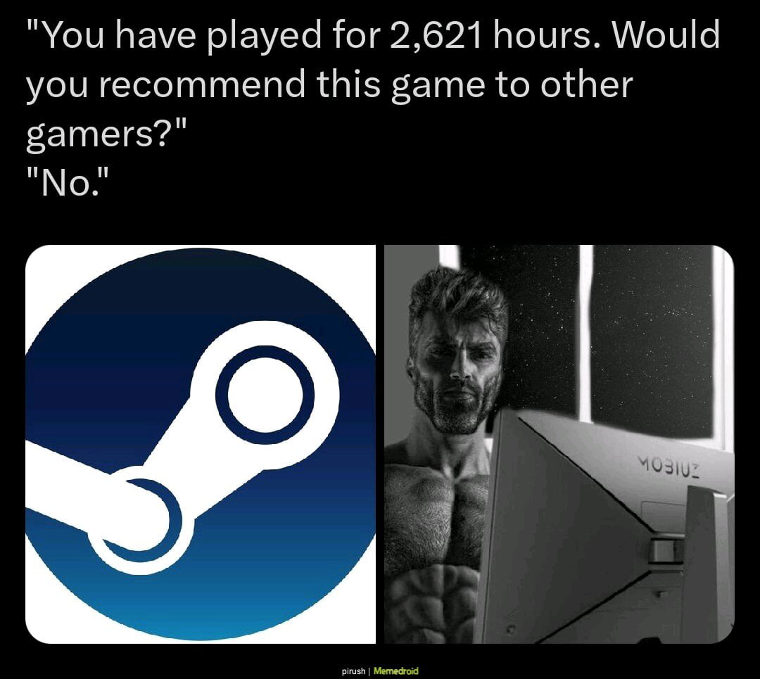The Paradox of the Steam Review: Why Gamers Log Thousands of Hours and Still Say No - Memes on Aviaclip