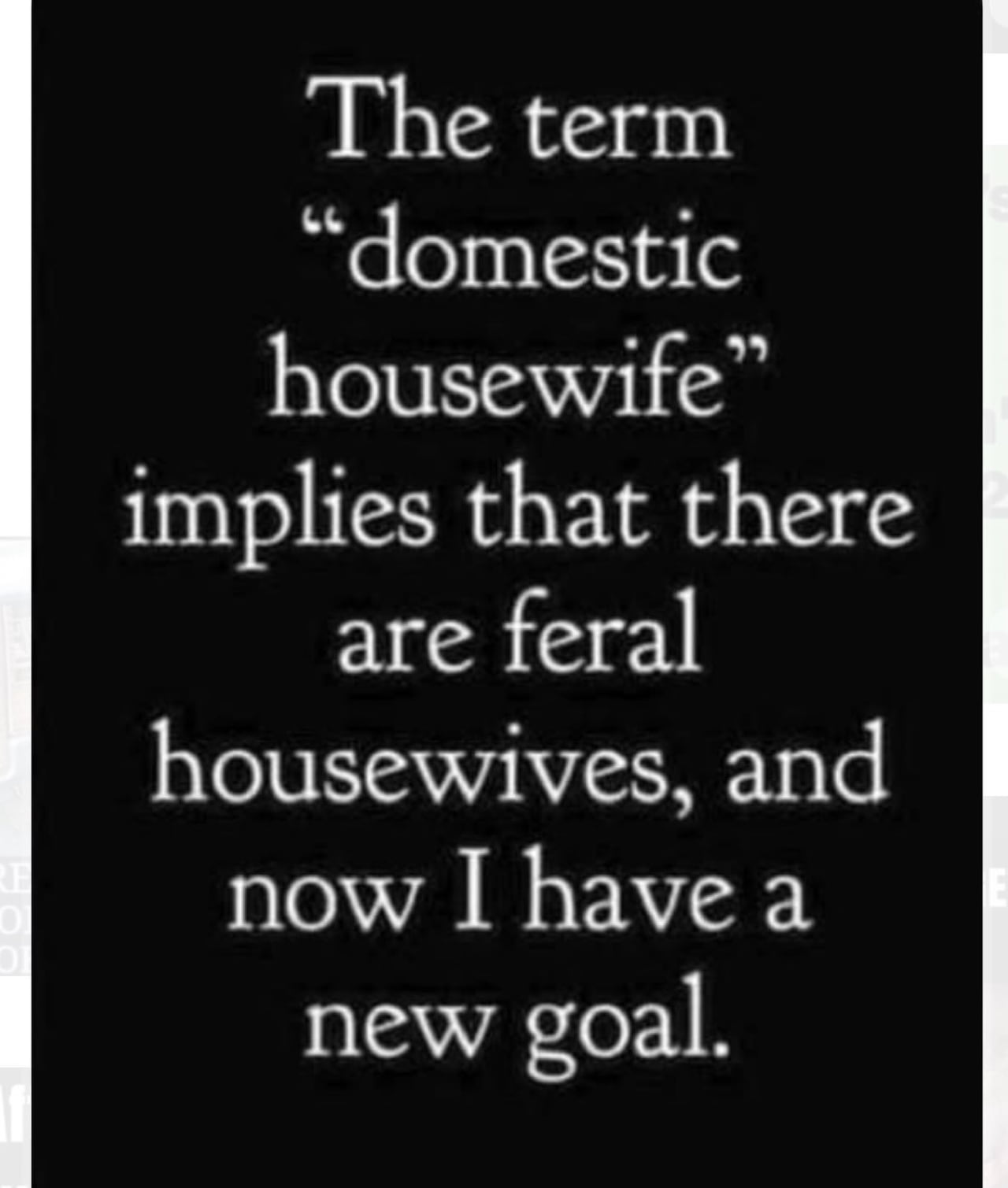 The Linguistic Implication of Domestic Housewives