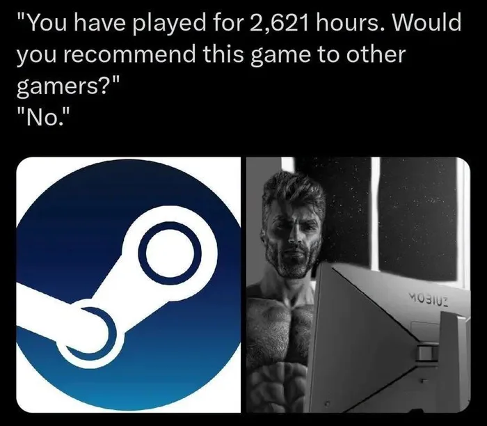 The Paradox of the Long-Term Gamer Review