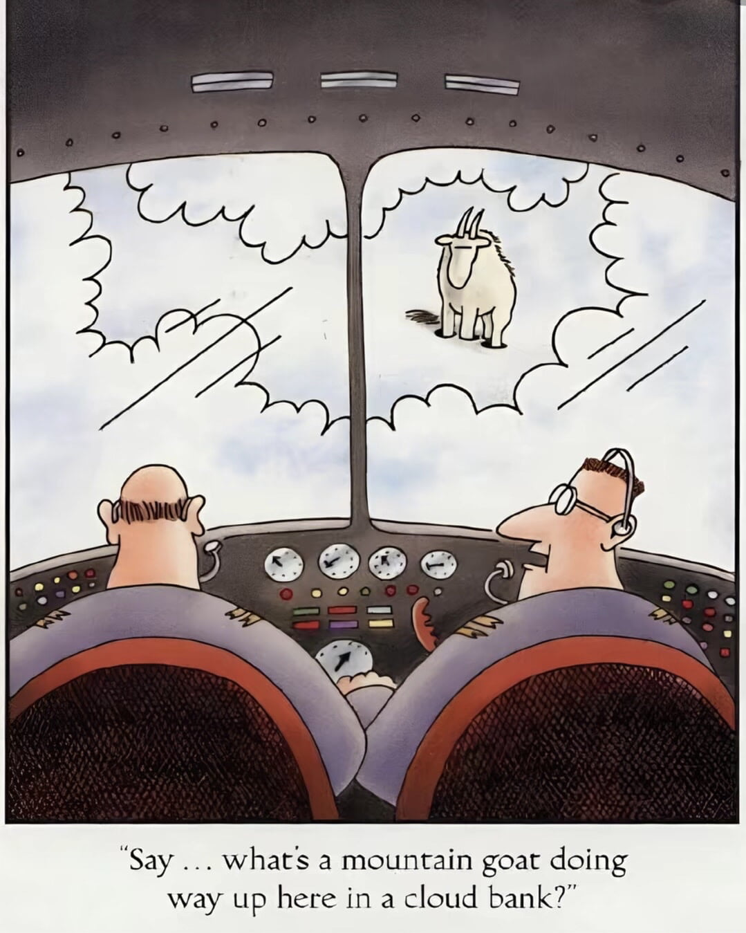 A Surreal Encounter at High Altitude - Memes on Aviaclip