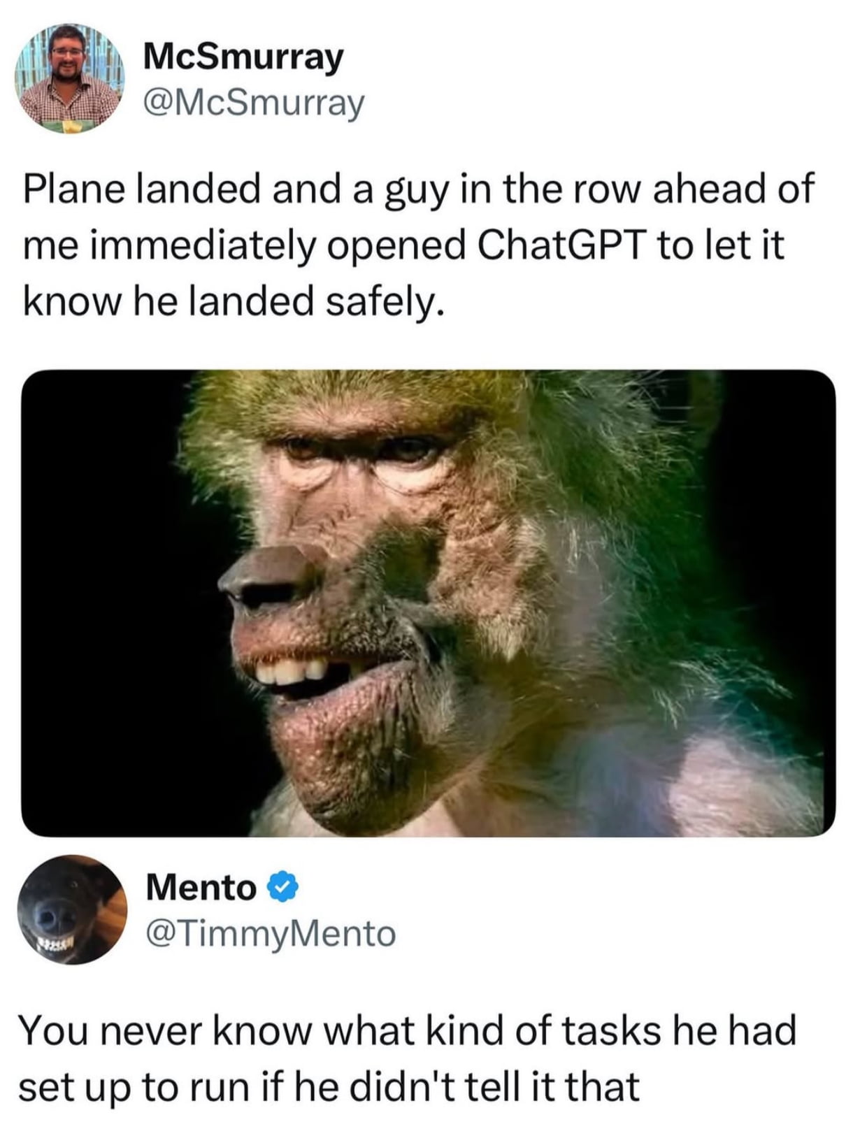 A Passenger's Unusual ChatGPT Interaction After Landing