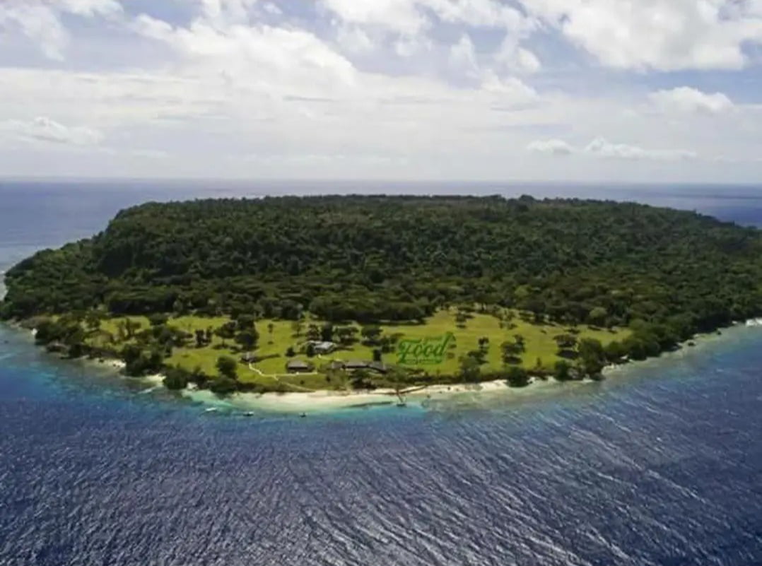 If You Could Rule Your Own Private Island, What Would Be Your First Law?