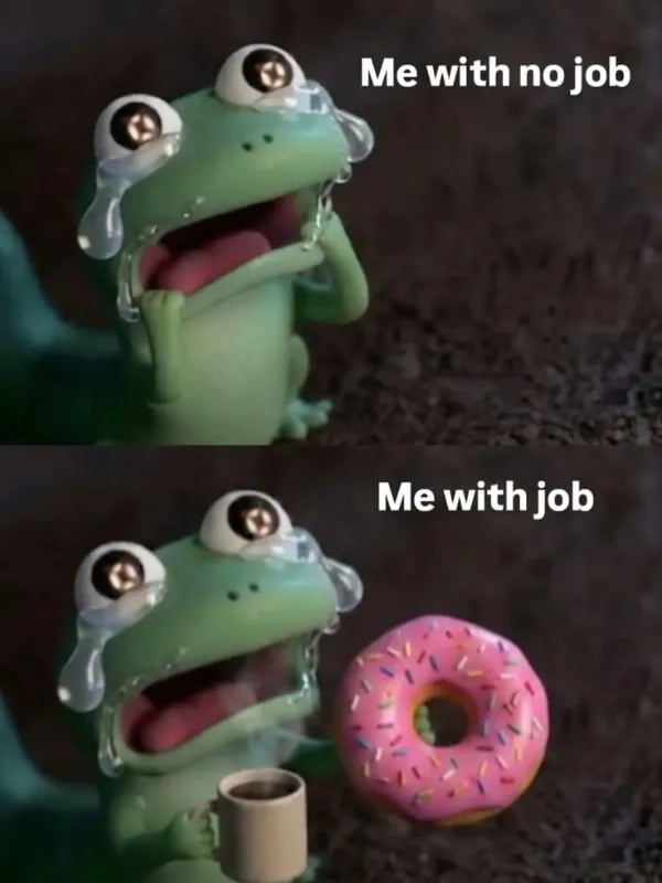 The Universal Struggle of Employment Illustrated by a Crying Frog - Memes on Aviaclip