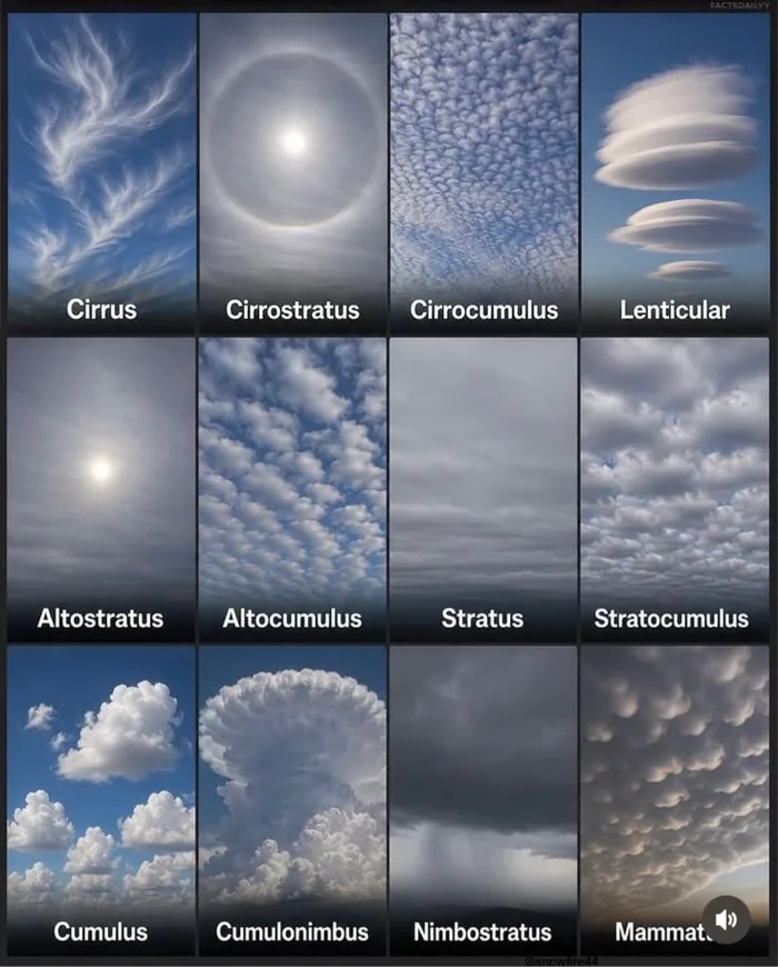 A Visual Guide to 12 Distinct Cloud Formations