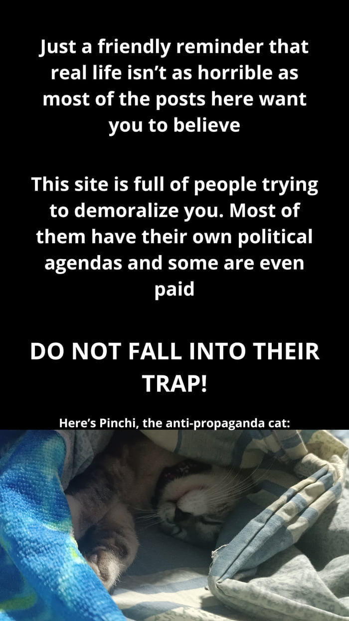 Meet Pinchi, the Anti-Propaganda Cat