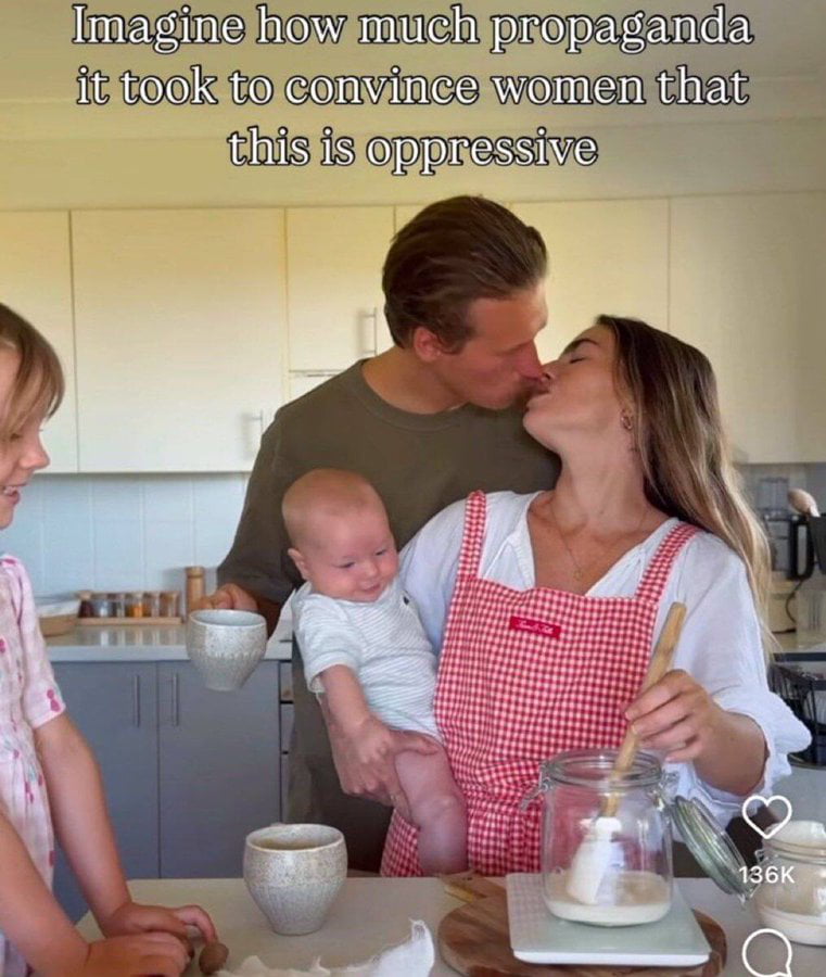 A Viral Debate Over Domestic Life and Societal Expectations