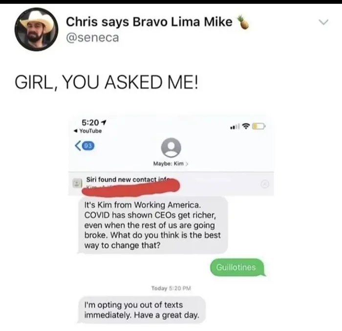 A blunt response to a political text message
