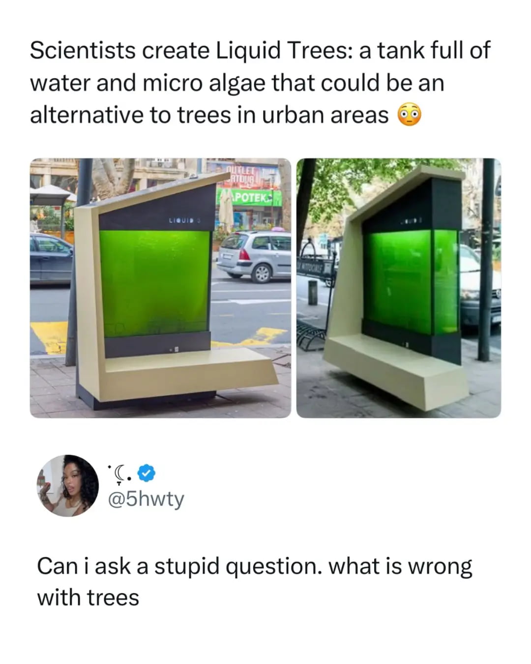 Liquid Trees: Are Algae Tanks the Future of Urban Air Quality?