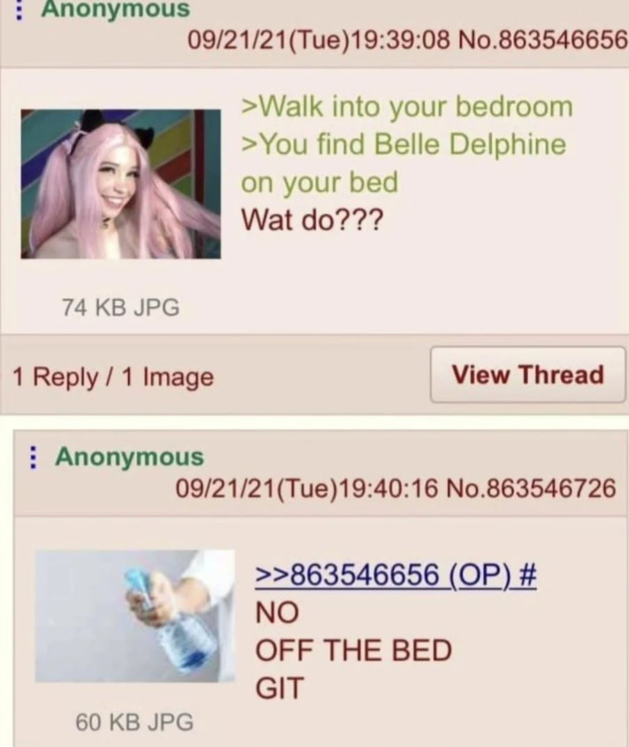 An Anonymous User's Hypothetical Scenario Involving Belle Delphine - Memes on Aviaclip
