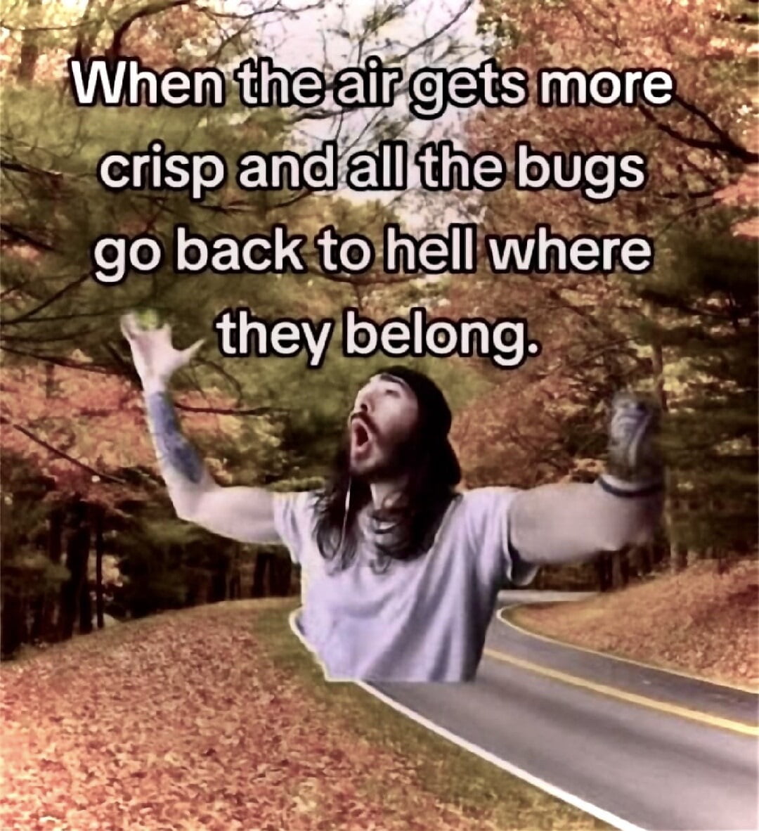The Seasonal Relief of Fewer Insects - Memes on Aviaclip