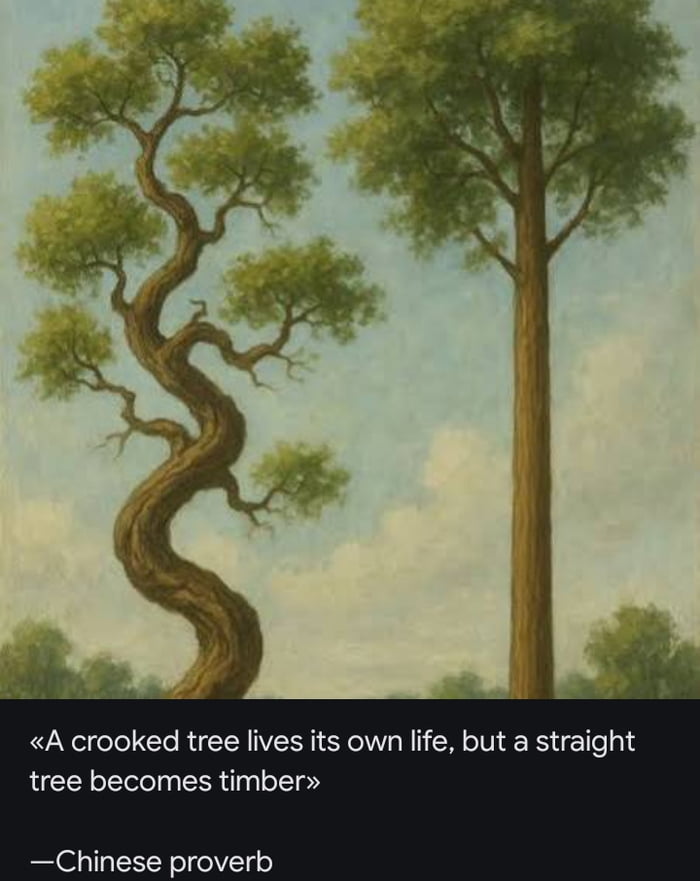 The Philosophical Contrast Between a Crooked Tree and a Straight Tree - Interesting on Aviaclip