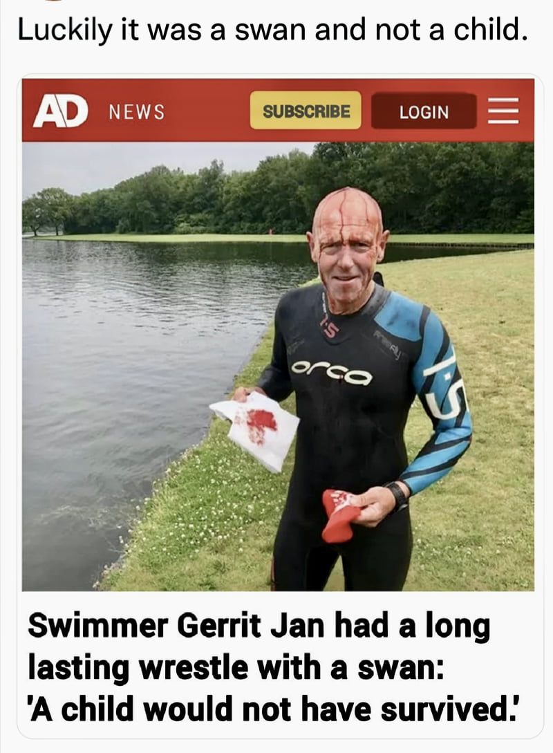 Swimmer Gerrit Jan Recounts Intense Physical Altercation With a Swan - WTF on Aviaclip