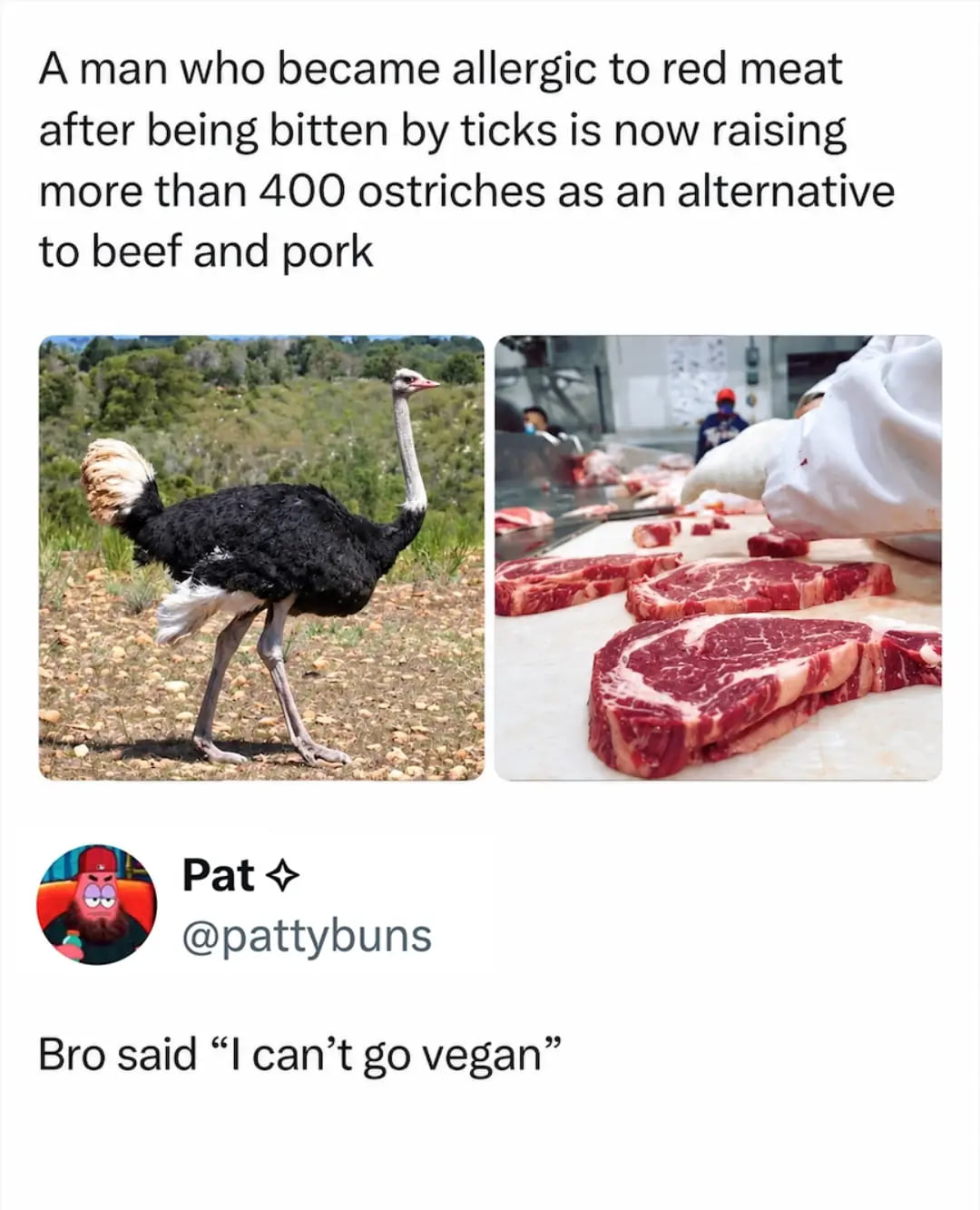 Man Develops Red Meat Allergy After Tick Bite and Starts Ostrich Farm