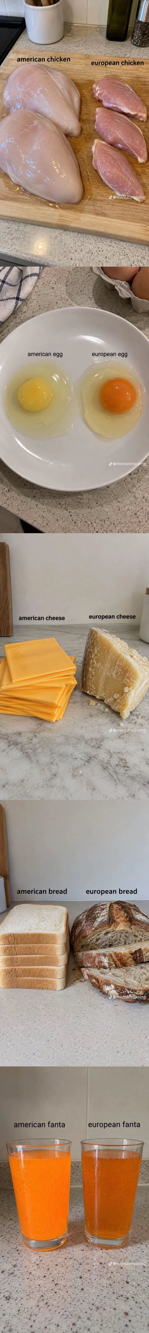 A Visual Comparison of Common Food Items in the US vs. Europe - Interesting on Aviaclip