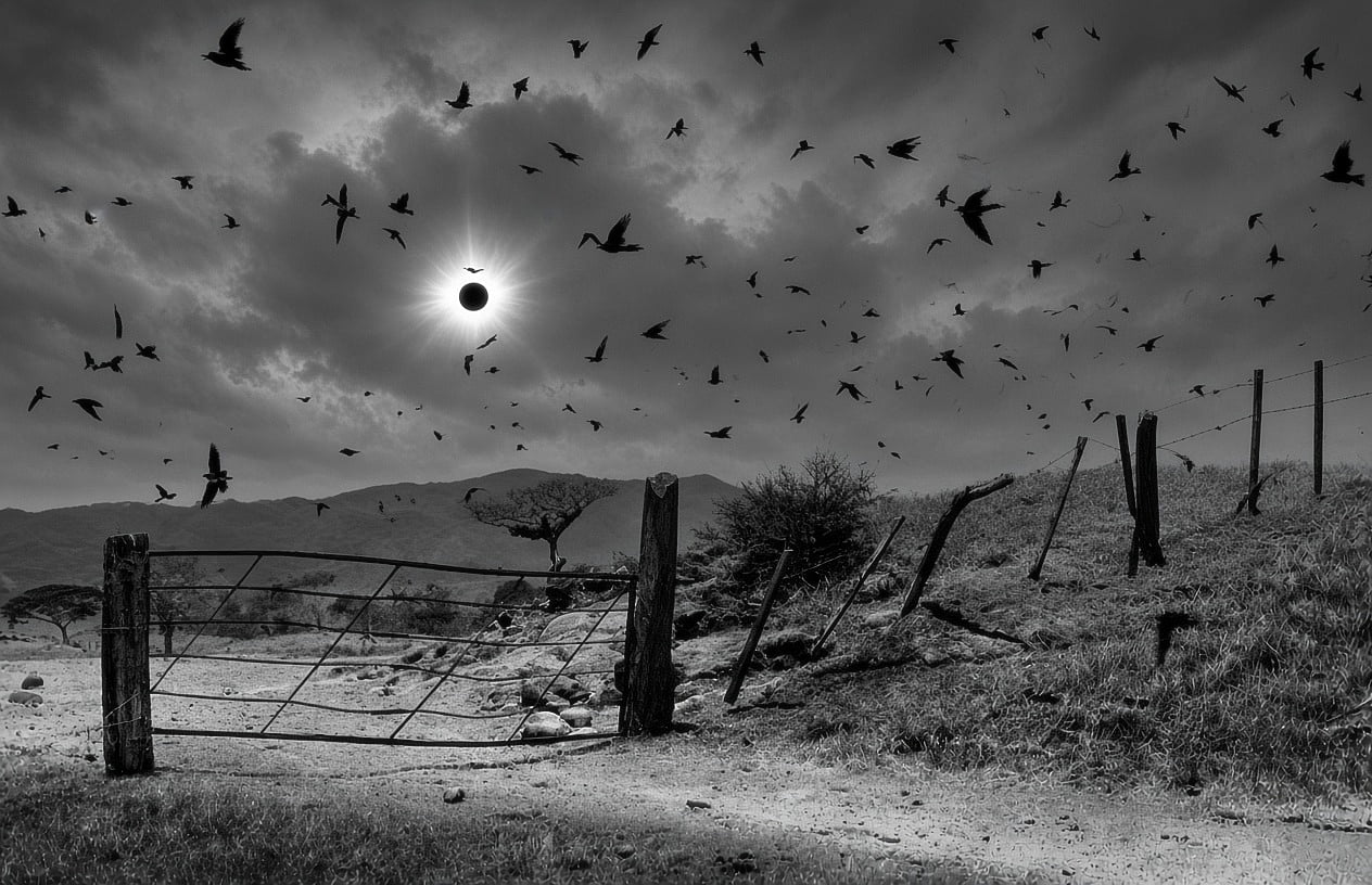 The 1991 Total Solar Eclipse Captured in Chiapas, Mexico - Interesting on Aviaclip