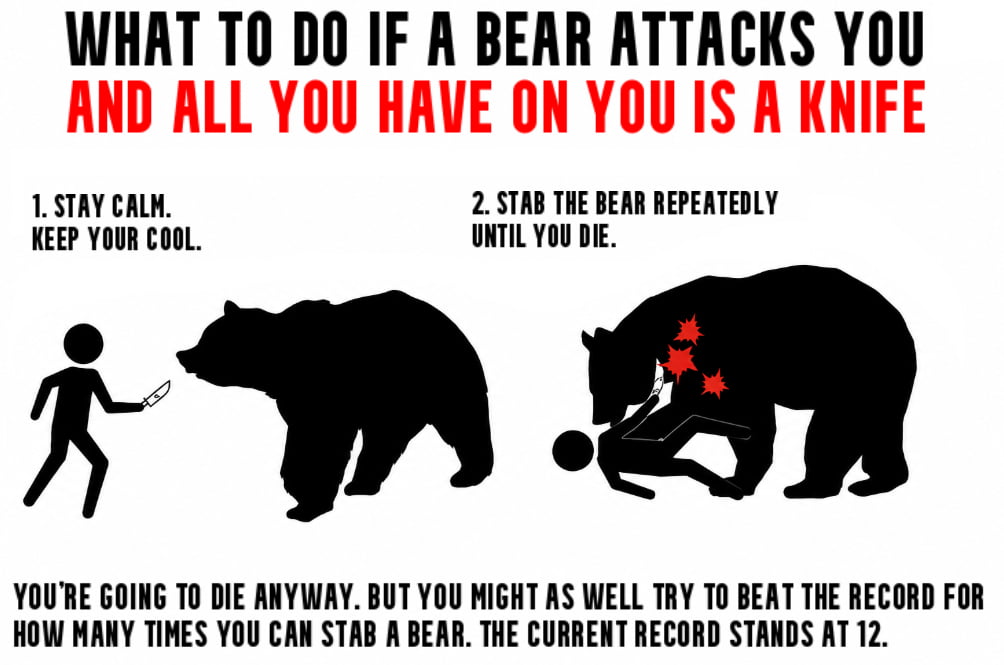 A Rather Grim Survival Guide for Bear Encounters - Memes on Aviaclip