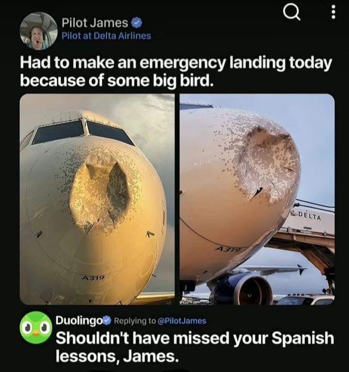 Duolingo Mascot Trolls Pilot After Bird Strike Emergency Landing