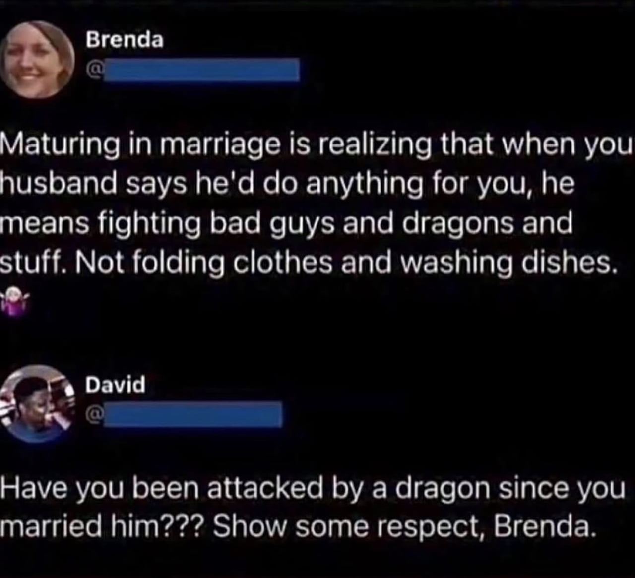 A Humorous Exchange About Marital Expectations and Dragons - Memes on Aviaclip