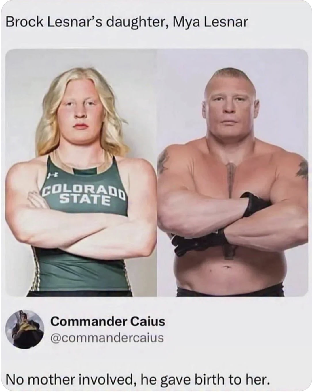 A Side-by-Side Comparison of Mya Lesnar and Her Father Brock Lesnar - Memes on Aviaclip