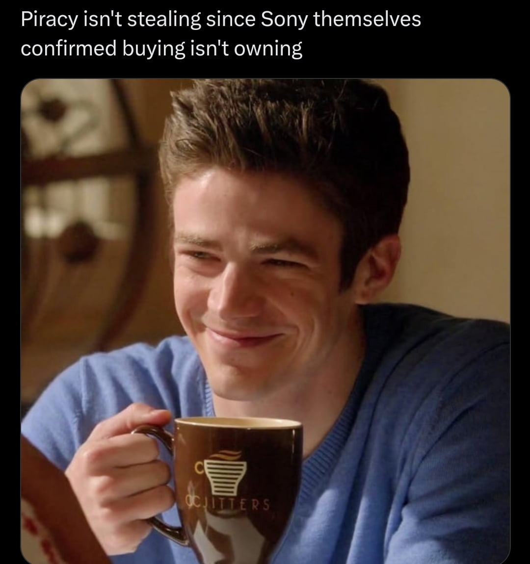 The Debate Over Digital Ownership and Piracy - Memes on Aviaclip