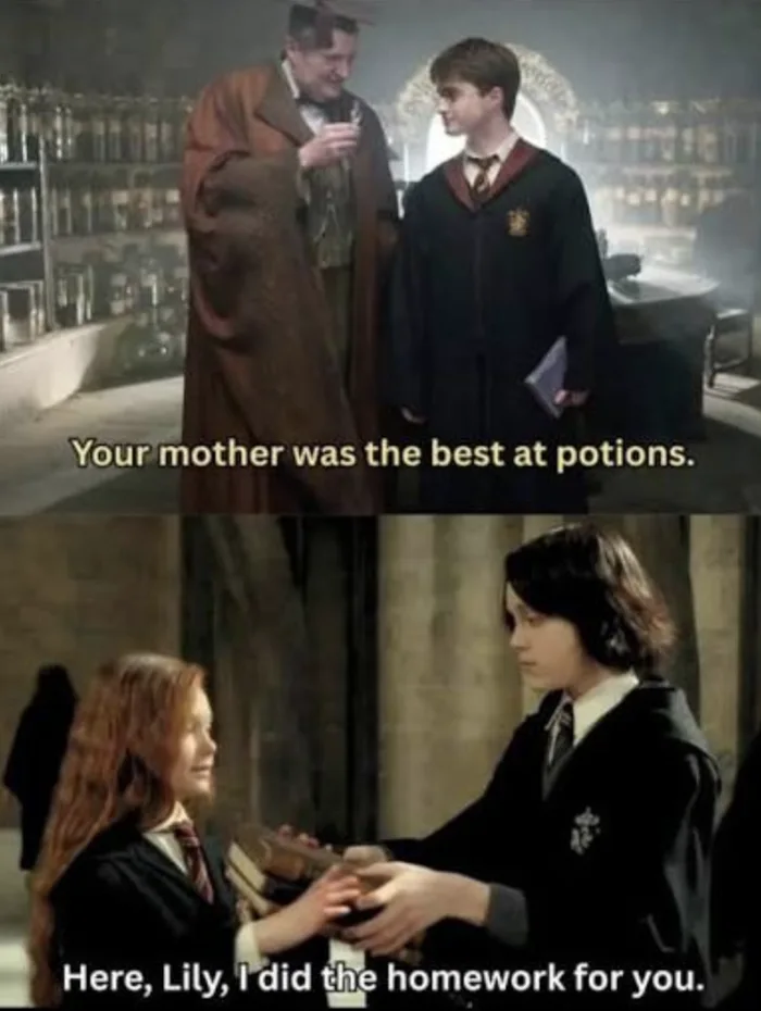 Was Lily Potter Actually a Potion Master? - Memes on Aviaclip