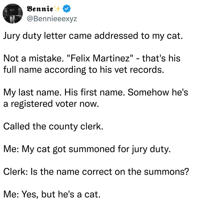 Cat Receives Official Jury Duty Summons