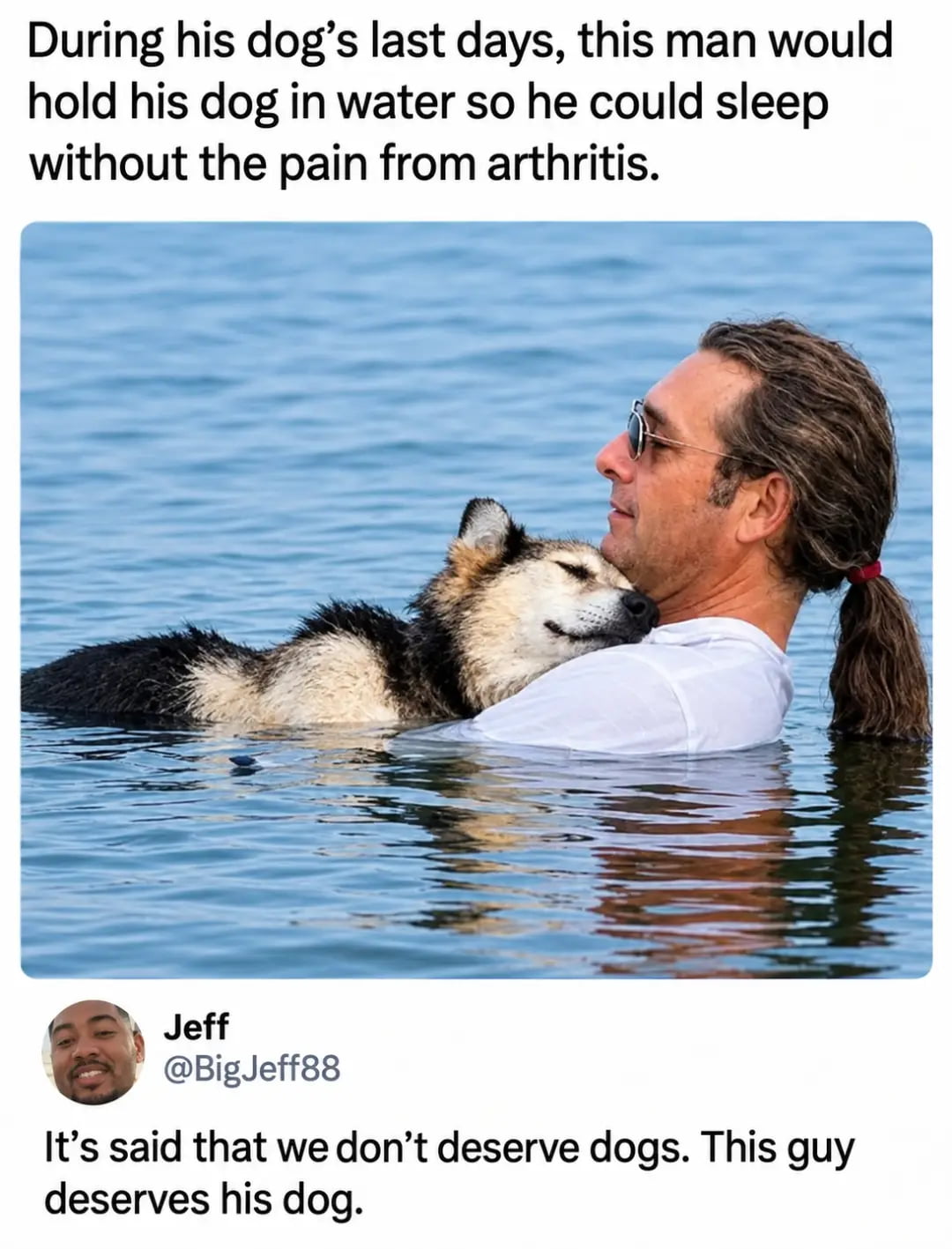 A Man Comforts His Dog During Its Final Days