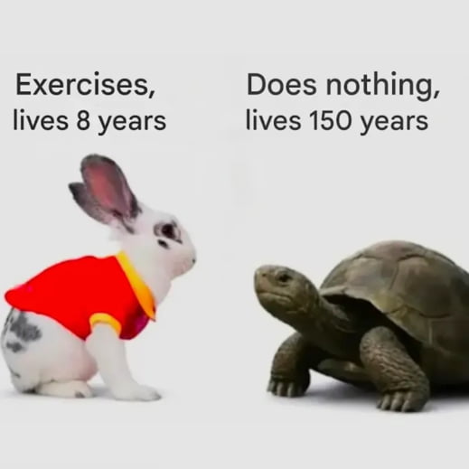 The rabbit vs. tortoise longevity debate - Memes on Aviaclip