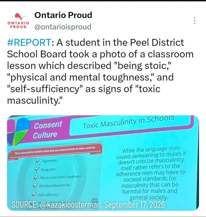 Peel District School Board Lesson on Toxic Masculinity Sparks Online Debate