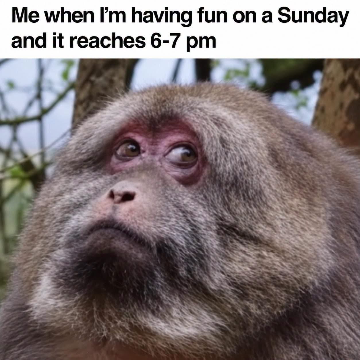 The Sunday Evening Realization