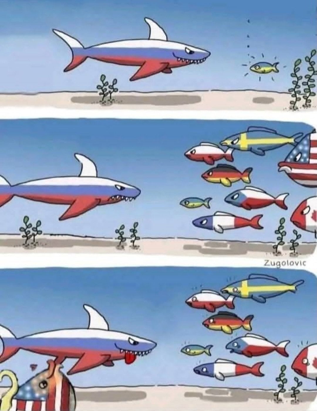 Political Cartoon Illustrates International Relations Through Marine Life - Memes on Aviaclip