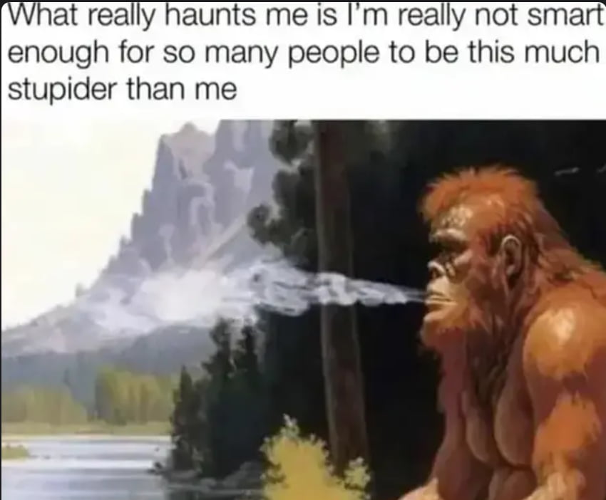 A Humorous Take on Feeling Smarter Than the Average Person - Memes on Aviaclip