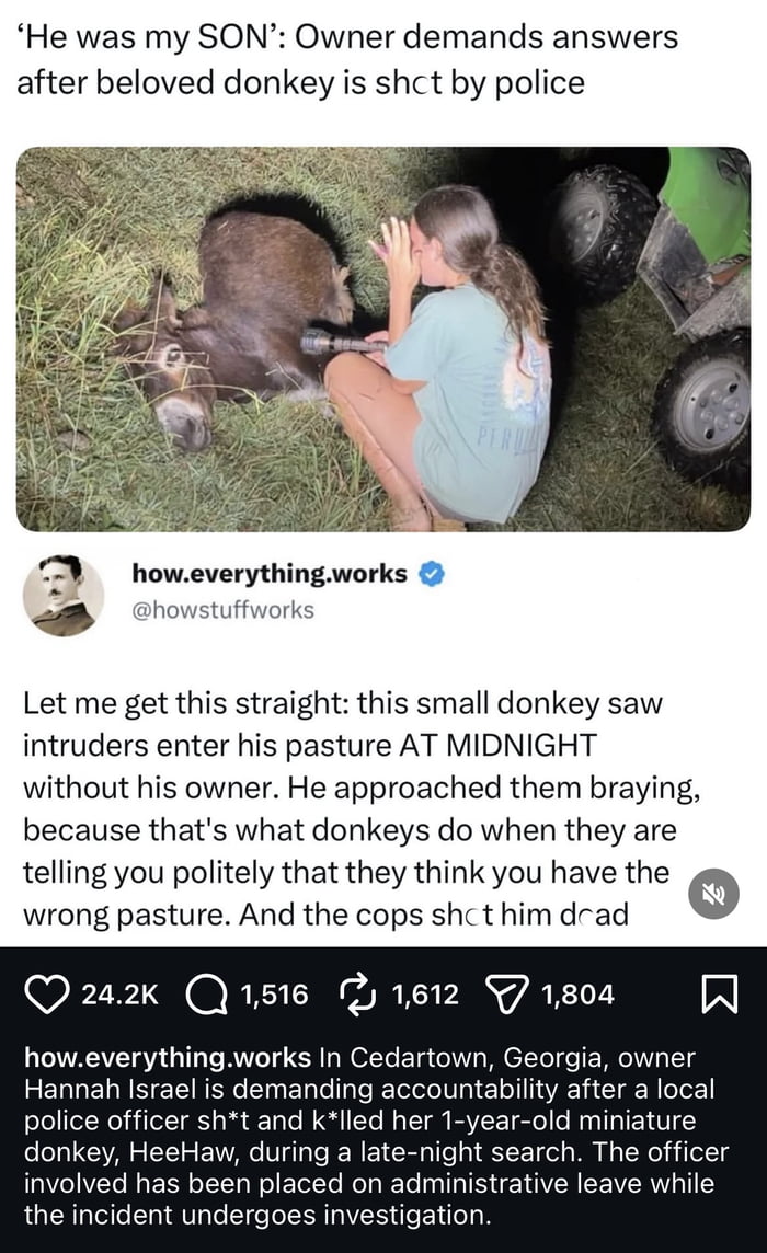 Owner Seeks Answers After Police Shoot and Kill Miniature Donkey - WTF on Aviaclip