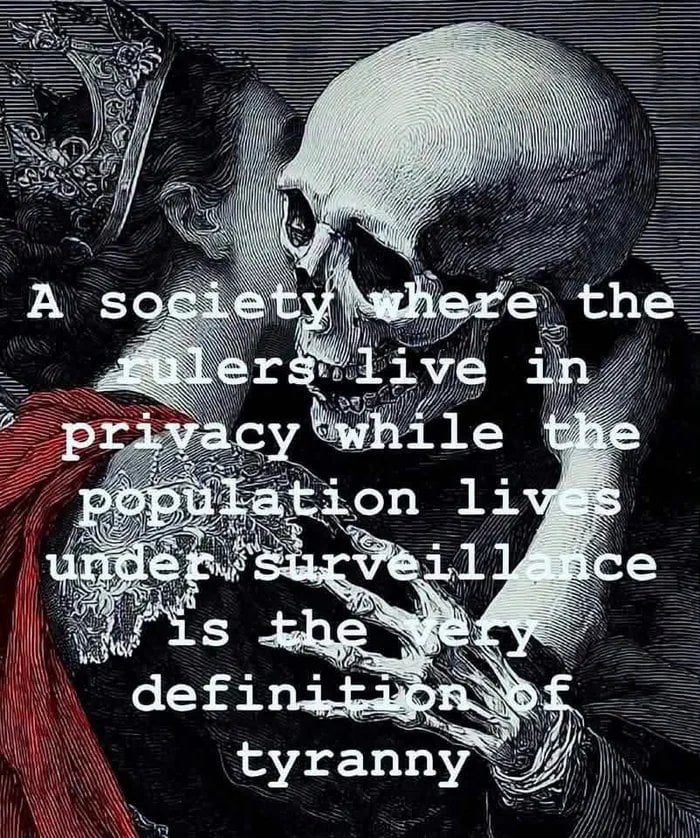 A Stark Commentary on Surveillance and Power Dynamics - Memes on Aviaclip